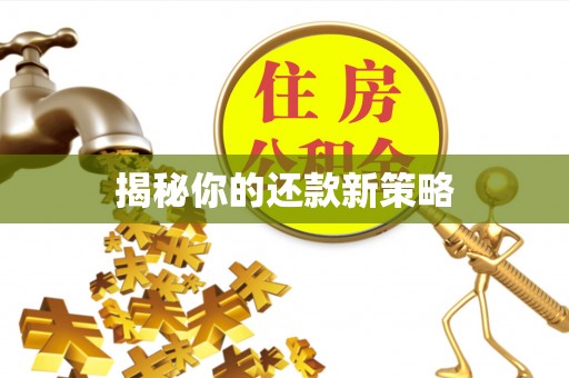 盘锦揭秘你的还款新策略