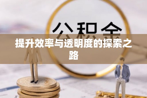 盘锦提升效率与透明度的探索之路