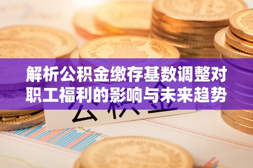 盘锦解析公积金缴存基数调整对职工福利的影响与未来趋势