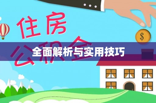 盘锦全面解析与实用技巧