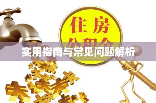盘锦实用指南与常见问题解析