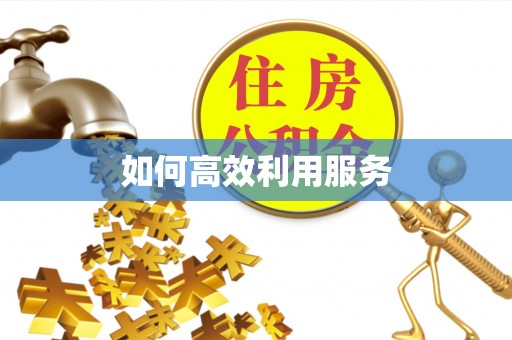 盘锦如何高效利用服务