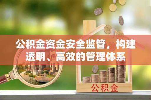 盘锦公积金资金安全监管，构建透明、高效的管理体系